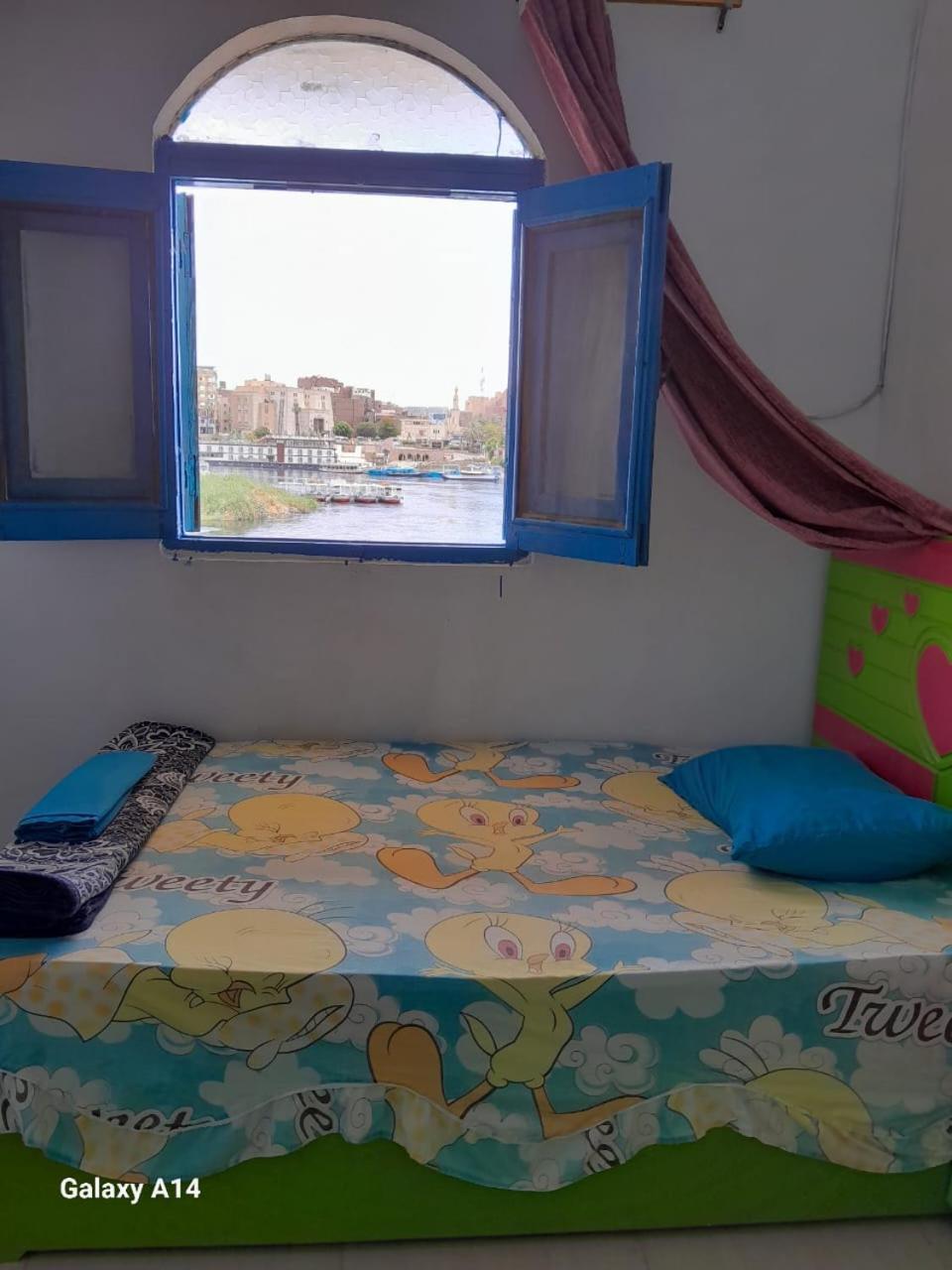 Nile View Rana Nubian Guest Houes Hotel Асуан Екстериор снимка